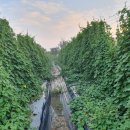 예당농장 이미지