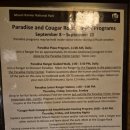 워싱턴(시애틀)여행: 5~6일 레이니어 국립공원(paradise inn 후기)