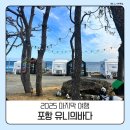 바다여행 - 경주시 동해안로 514 | 포항 오션뷰 카라반｜2025년 마지막 여행, 유니의바다 후기