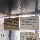 원두막카페 | [공지] [탐방일지] 노지캠핑의 성지,파주 임진강원두막카페 26년 4월 12일 최신후기 / 화장실,차박,명당