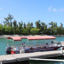 구명카써비스 이미지