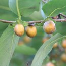 장미공원안내소 이미지