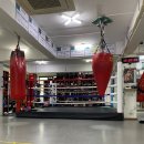 strong boxing gym 이미지