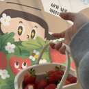 동읍134 | 창원 동읍 딸기체험 🍓 아이랑 가기 좋은 내가키워팜 3년째 방문 후기