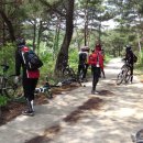 영천초등학교 이미지