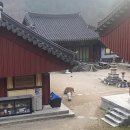 산청명상참된명상 | 산청 문수암: 템플스테이 체험형 후기