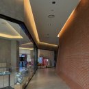 소노펠리체 델피노 이미지