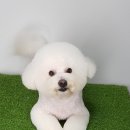 파리바게뜨수원탑동 이미지
