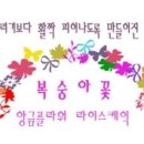 떡꽃을피우다 이미지