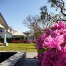 해안29번가 이미지