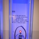 벨르마