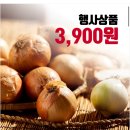 (품절) 익산원예농협 익산 햇양파 특대이상 3kg 3900원 이미지