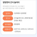 송이 | 2025 양양연어축제 정보 양양송이축제 후기 주차 볼거리