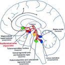 서울수면센터 이미지