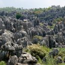 석림3로 이미지