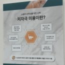 고양이 저자극 미용으로 미용-목욕까지 30분 컷! 부천고양이미용 W고양이미용센터 부평