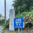 신세대빌리지 이미지