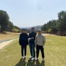 나이스태광 이미지