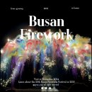 2024-주219 | 2025 제20회 부산 불꽃축제 유료 좌석 티켓 예매 방법 얼리버드 S석 그린존 후기