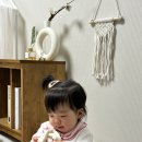 두두핏 | 미니두두 스카프 내돈내산 실사용 후기 [레오파드/핑크소다/네이비블레이저]