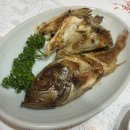 전복궁 티스토리