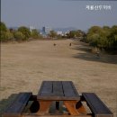 계룡산두꺼비