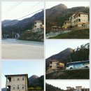 바람의 정원 이미지
