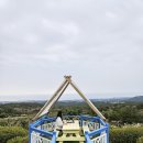 포레스트선흘 이미지