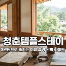 하이스테이종로1233 | 2026 청춘템플스테이 3만원으로 즐기는 여름 휴가 완벽 가이드