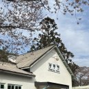 나주북초등학교 | 갤러리와 잔디밭이 넓은 복합문화공간 남평507카페와 남평역에 다녀온 후기