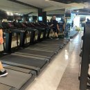 휘트니스 더 레이 이미지