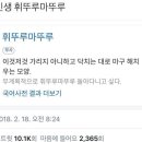 희뚜루마뚜루 이미지
