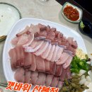 [산본 맛집] 대방어가 맛있는 산본역 횟집 갯바위 산본점 후기🐟(with. 뚝배기 알밥)