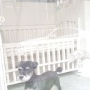 동아팬더아파트 이미지