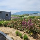 단짠아쿠아 삼천점 이미지