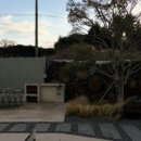 오마틸라 이미지