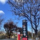 안정환의바글바글 이미지