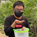 스마트농원 이미지