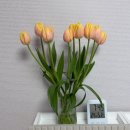 범일농장 | 범일 자유도매시장 2월 꽃구매 후기🌷 위치 꿀팁⭐️