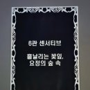 불사조 제5관 이미지