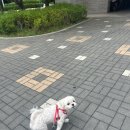 지대넓얕