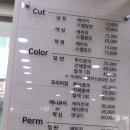 비손헤어 이미지