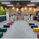 용인대 대한 태권도 이미지