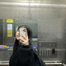 예림여행사주 이미지