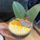 영흥도펜션타운 C동 | 인천 영흥도 당일치기 데이트 코스 | 물길 열릴때만 가는 목섬, 휴양지 카페, 해식 동굴, 조개구이 추천