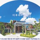 키즈영어복싱pls | 끄라비 여행객 필독! 더 푸 비치 호텔 추천 &amp; 솔직 후기
