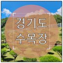 영구장묘 | 경기도 수목장 전문가 상담 전후, 결정의 질이 달라집니다