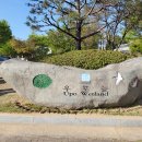 우포늪 광장 이미지