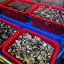 통큰 짬뽕전문점 이미지