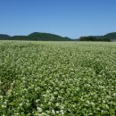 선양 빌리지돔 이미지